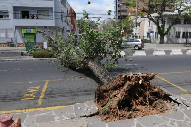 Trânsito é liberado em trecho da Avenida José de Alencar na Capital Arivaldo Chaves/Agencia RBS Trânsito é liberado em trecho da Avenida José de Alencar na Capital Arivaldo Chaves/Agencia RBS