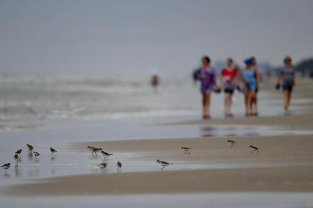 Em manhã de tempo feio no litoral, só surfistas encaram a praia Bruno Alencastro/Agencia RBS Em manhã de tempo feio no litoral, só surfistas encaram a praia Bruno Alencastro/Agencia RBS