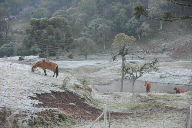 Feriado começa com frio intenso e geada em Caxias do Sul Roni Rigon/Agencia RBS