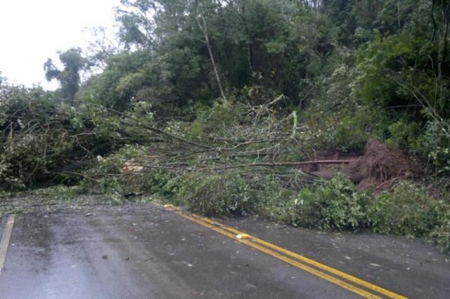 Rodovias estão com trechos interditados em Santa Catarina por causa das chuvas Daisy Trombetta/Agência RBS Rodovias estão com trechos interditados em Santa Catarina por causa das chuvas Daisy Trombetta/Agência RBS