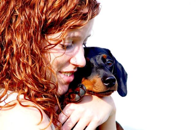 Cães podem fazer com que donos sintam-se até 10 anos mais jovens Reprodução/Stockphoto