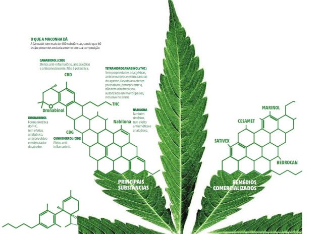 Justiça autoriza importação de componente da maconha para fins medicinais e pesquisa Arte DC/Agência RBS