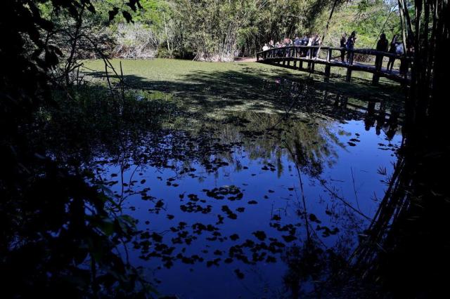 fotos jardim botanico porto alegre:Jardim Botânico de Porto Alegre é opção de passeio para quem fotos jardim botanico porto alegre:Jardim Botânico de Porto Alegre é opção de passeio para quem