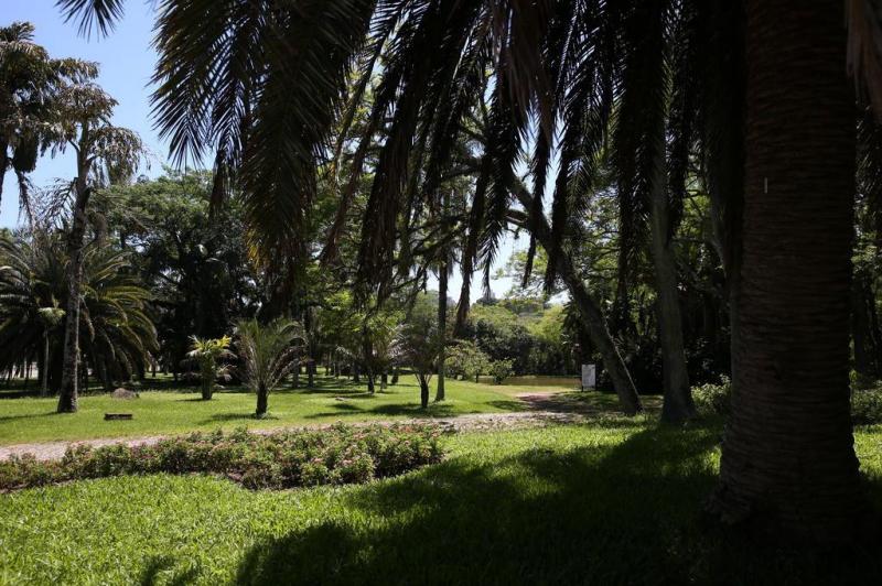 fotos jardim botanico porto alegre:FOTOS: Jardim Botânico é opção de passeio para quem procura fotos jardim botanico porto alegre:FOTOS: Jardim Botânico é opção de passeio para quem procura