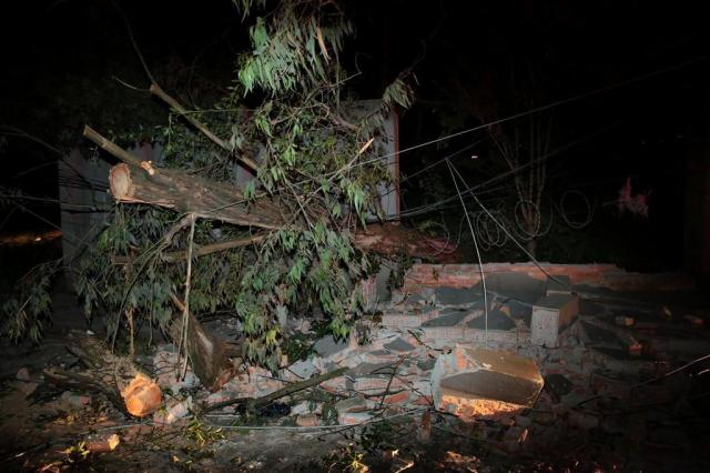 RS registra queda de árvores, vento de 104 km/h e chuva na madrugada Carlos Macedo/Agencia RBS