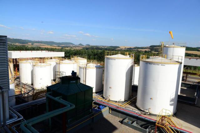Energia extra para usinas de biodiesel Diogo Zanatta/Especial