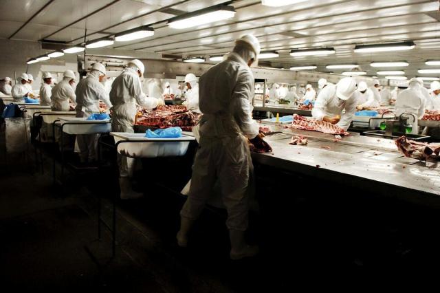Joana Colussi: indústria de carne acuada por fiscalização Daniel Marenco/Agencia RBS