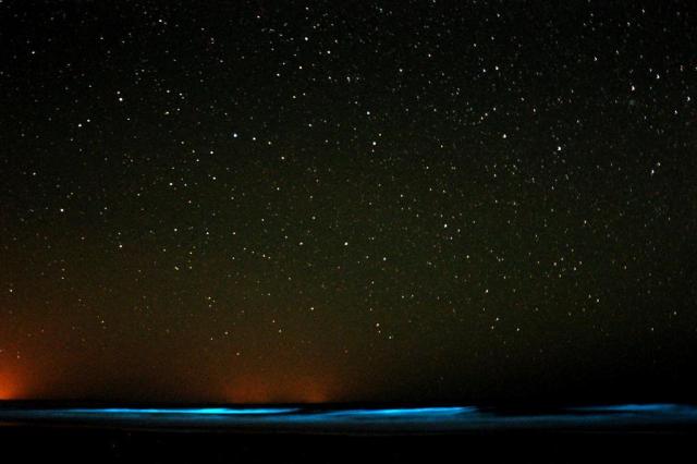 Fen&ocirc;meno natural deixa o mar iluminado em Cabo Pol&ocirc;nio, no Uruguai Maria Fuentes/AFP