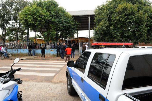 Sarda que apoia delfim de estúdio de pista