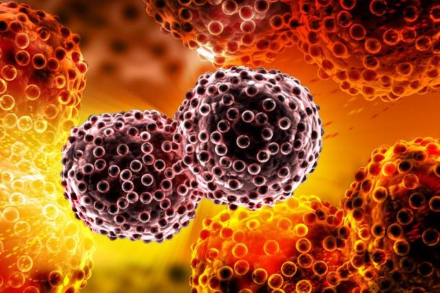 Cientistas descobrem método para capturar e detectar células de câncer com metástase RAJ CREATIONZS/Shutterstock