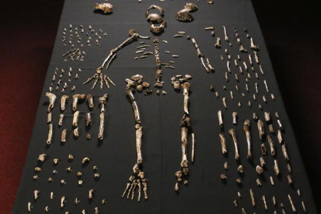 "Essa informação perturba tudo o que se sabe", diz historiador sobre o Homo naledi JOHN HAWKS/ WITS UNIVERSITY/AFP