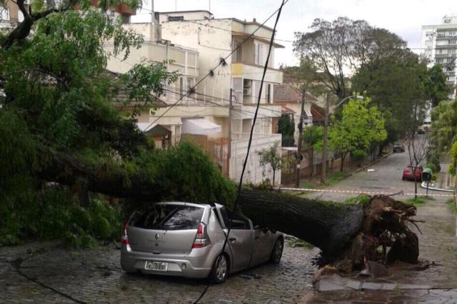 Motorista sai ileso após árvore esmagar carro em Porto Alegre Arquivo Pessoal/Arquivo Pessoal