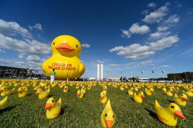 Resultado de imagem para fotos dos patos amarelos de skaf