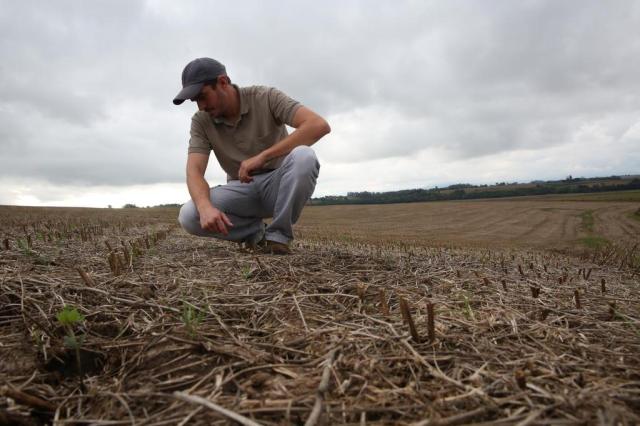 Investimento no solo reduz custos, amplia a produtividade e garante o futuro da produção agrícola Tadeu Vilani/Agencia RBS