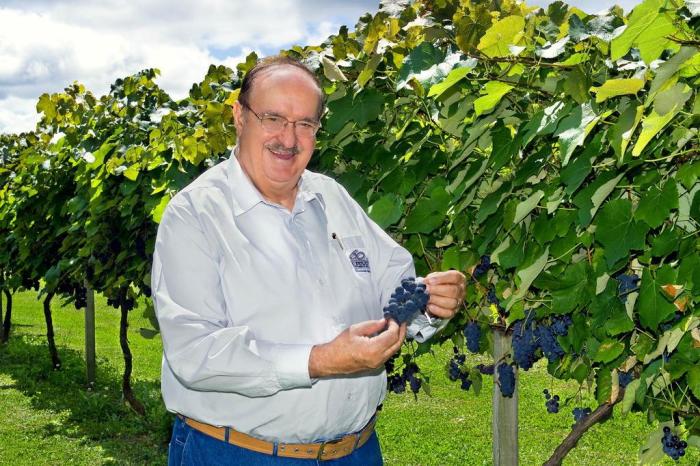 Guilherme Jordani / Divulgação Guilherme Jordani / Divulgação