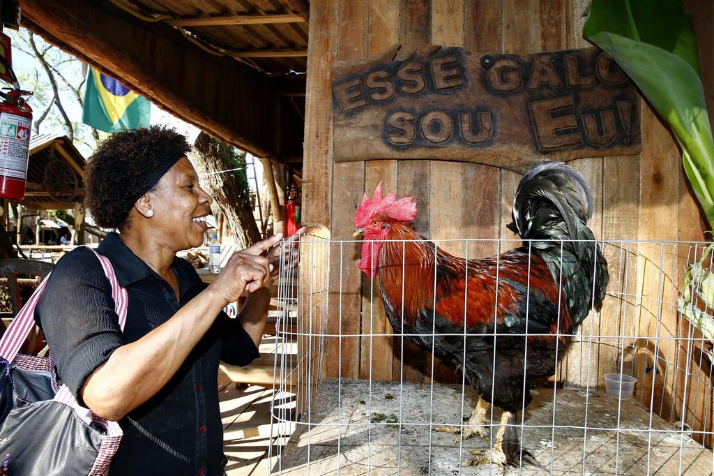 Doce tradição: produção de chimia de figo reúne gerações ao redor do tacho  na Serra