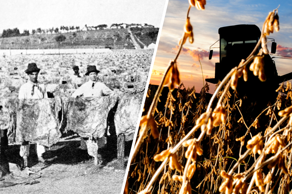 Do charque à soja: federação de produtores mais antiga do Brasil chega aos 90 anos / Do charque à soja: federação de produtores mais antiga do Brasil chega aos 90 anos /