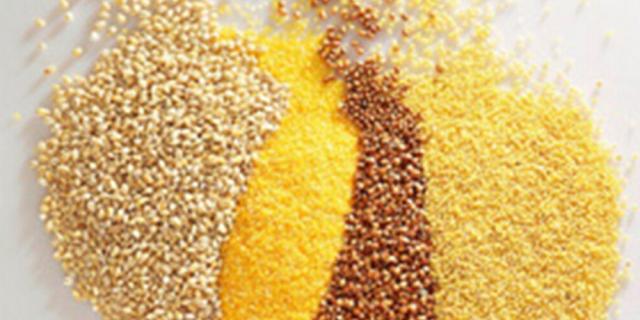 Conheça o painço: além de prevenir doenças, cereal é aliado na perda de peso Divulgação, Rede Mundo Verde/ Conheça o painço: além de prevenir doenças, cereal é aliado na perda de peso Divulgação, Rede Mundo Verde/
