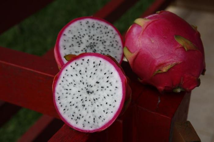 Produtores gaúchos investem em frutas exóticas 