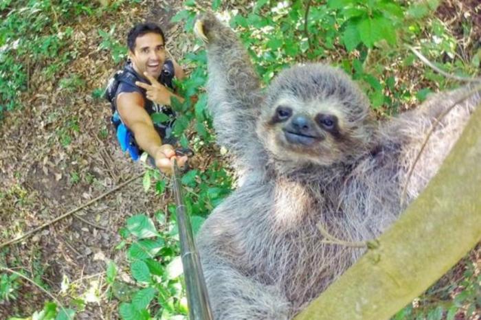 Amigos posando para selfie. grupo de pessoas alegres, fotografando