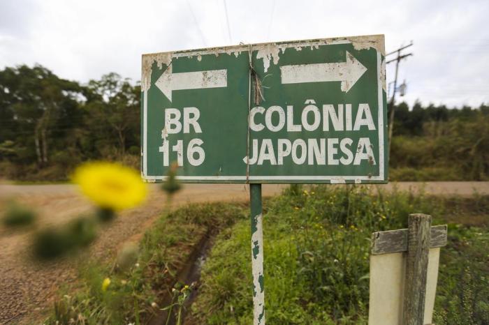 Shogi e cultura japonesa chegam a Porto Vitória - Amsulpar