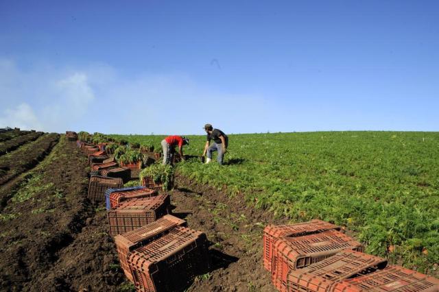 Caixa facilita crédito rural e quer aumentar empréstimos para o setor Marcelo Casagrande/Agencia RBS