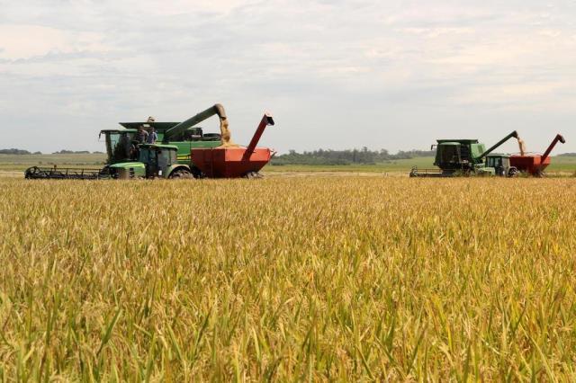 Colheita do arroz começa embalada por expectativa de safra cheia e preços firmes Claudio Gottfried/Especial