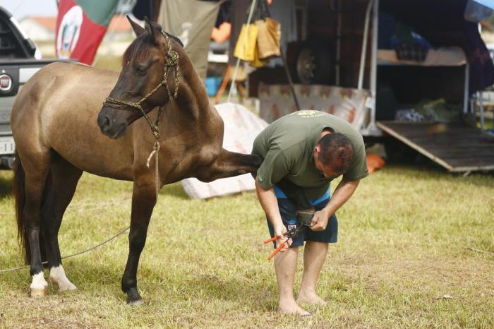 Jovem de camisa descansando em cavalo marrom depois de cavalgar