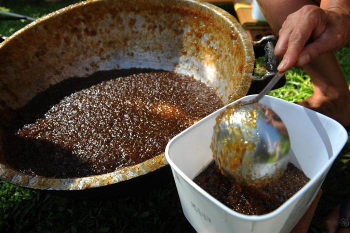 Doce tradição: produção de chimia de figo reúne gerações ao redor do tacho  na Serra