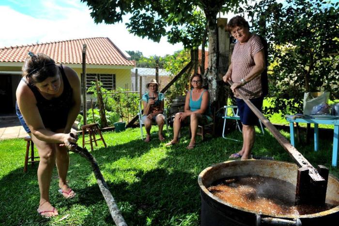 Doce tradição: produção de chimia de figo reúne gerações ao redor do tacho  na Serra