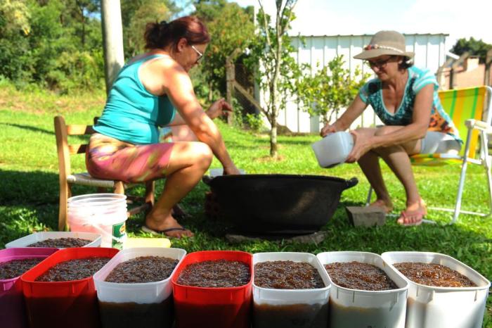 Doce tradição: produção de chimia de figo reúne gerações ao redor