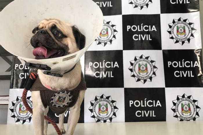 Polícia Civil / Divulgação