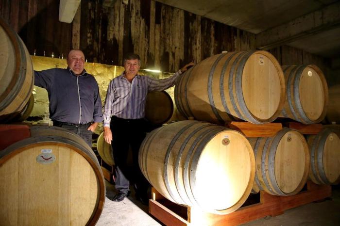 Como vinícolas tradicionais da serra gaúcha superaram crise e deram a volta por cima 