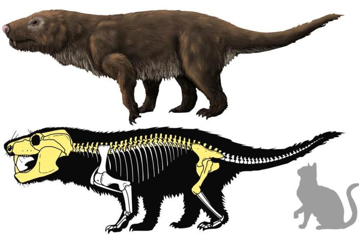 Fósseis de primeiro dinossauro gigante são descobertos