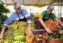 Confira os espaços de alimentos orgânicos em Porto Alegre