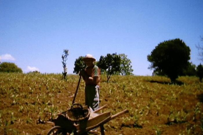 Acervo família Camparin / Arquivo pessoal